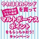やわほまれサンド　マルトボーナスポイント　キャンペーン