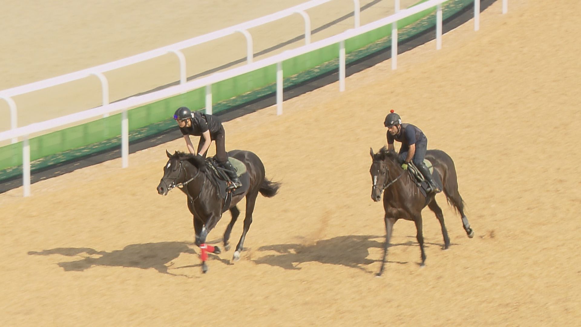 日本一の競走馬育成施設
